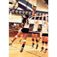 vballplayer0's profile picture. 100% volleyball
