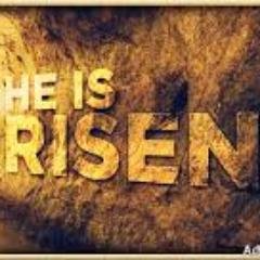 texglobals's profile picture. 