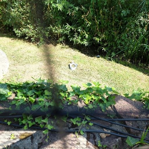 lainepubco's profile picture. 