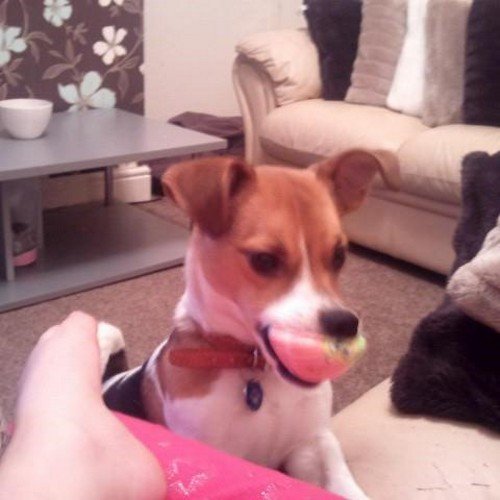 LindaMaginness's profile picture. 