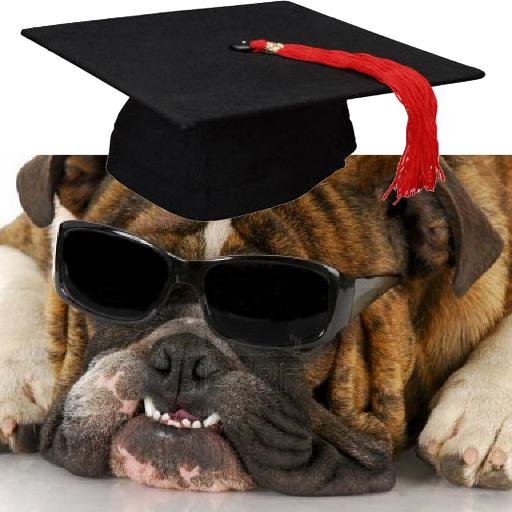I am here to help students and parents prepare for college, careers, and more!