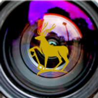 FPBE @ Surrey (@filmeng_surrey) 's Twitter Profile Photo FPBE @ Surrey (@filmeng_surrey) 's Twitter Profile Photo
