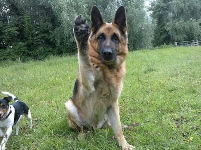 lpallatina3's profile picture. 