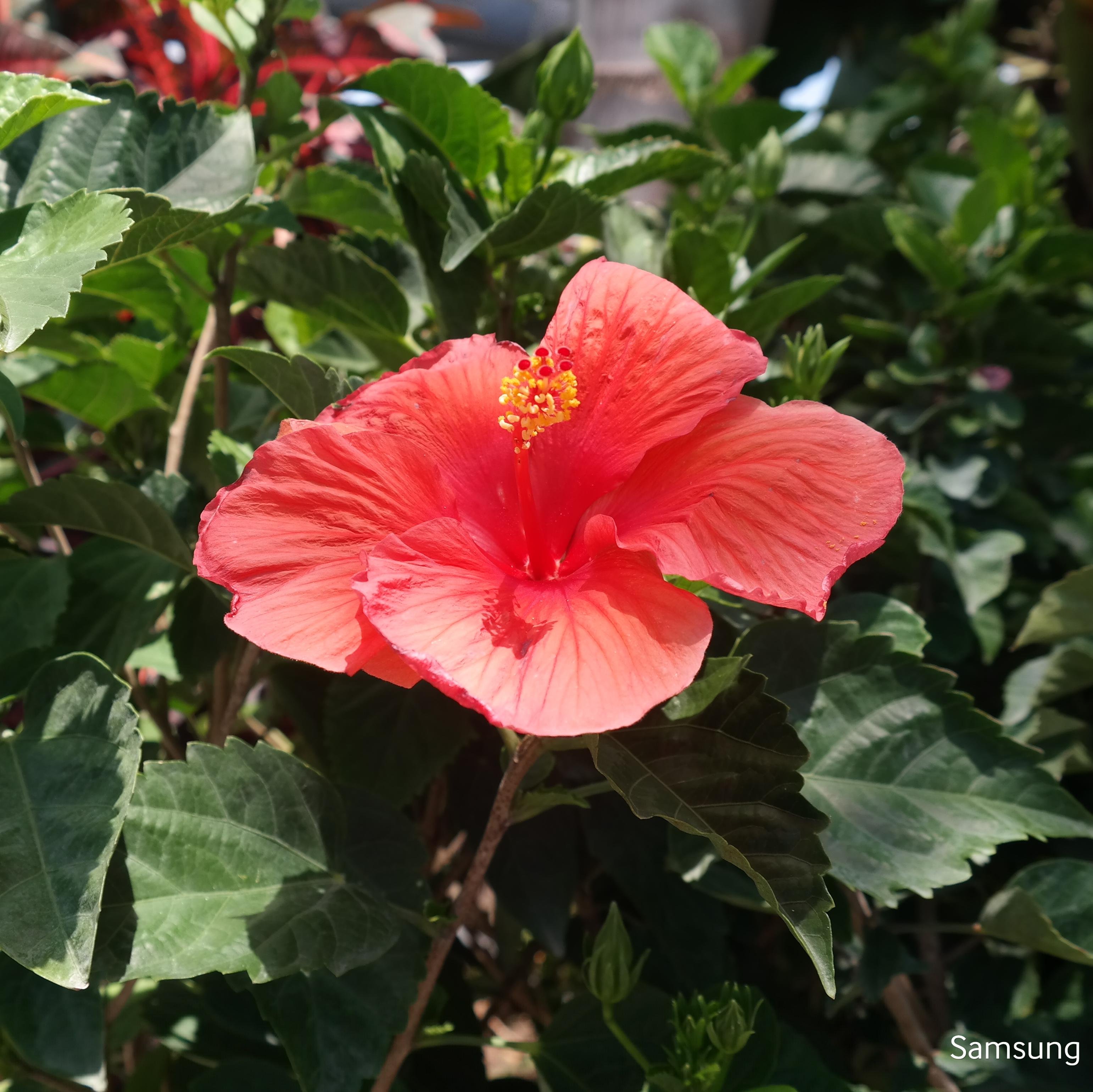 @TreeofLifeRGV has 4 garden center and nursery locations throughout the #RGV. Visit our website to learn more: http://t.co/bHp3dTg0mq