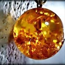 TheFierceFossil's profile picture. Living the Tree Sap life