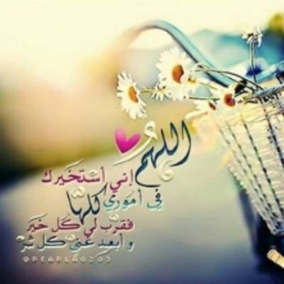 '

إذا أحبَبت شخَصًا ؛ خُذه معْك فِي رسَائِل السّماء , دُون علمِه . . ♡❕