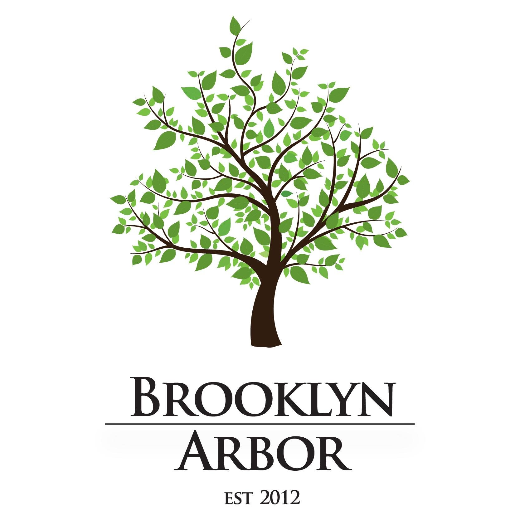 Brooklyn Arbor is a comprehensive prekindergarten through fifth grade learning community dedicated to providing a safe & nurturing environment for all students.