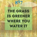 Carrie Mathis - @cbosier52 - Twitter