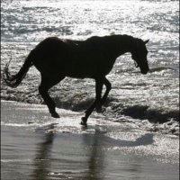 المحبه أرض ... ღ (@kh__hh) 's Twitter Profile