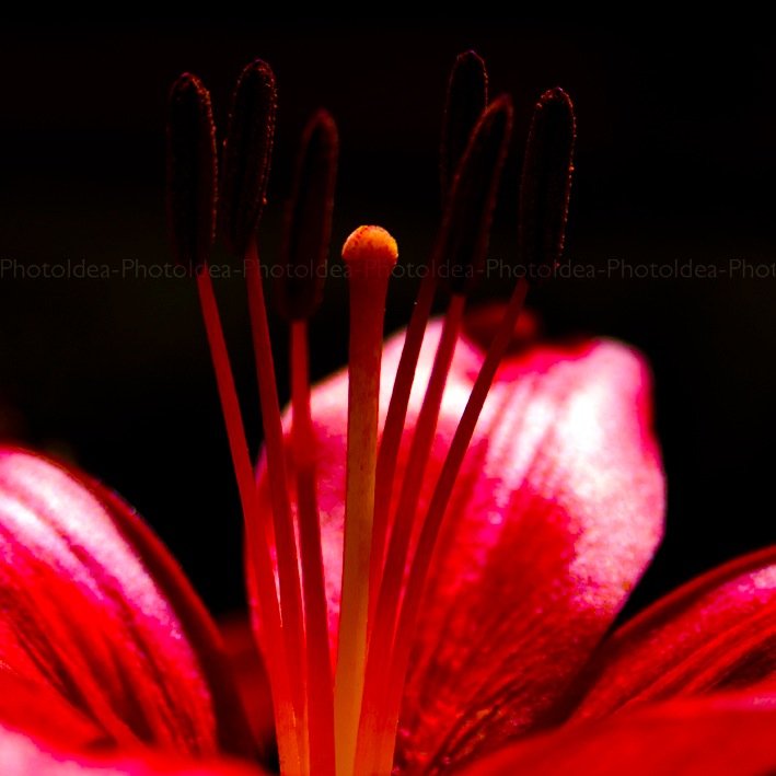 #fineart #prints for your #homedecor.
PhotoIdea is a professional photographers team that prints only on FineArt papers. #etsy #fotografia #casa #arredamento