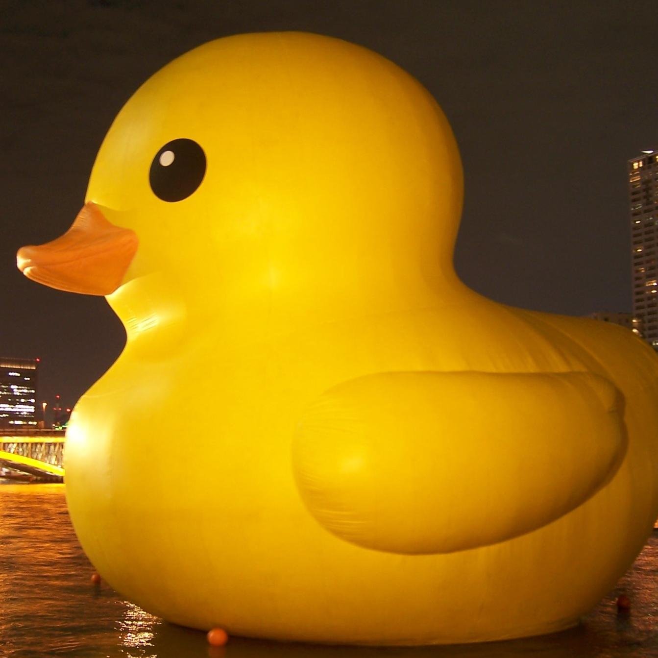 domery's profile picture. 世界を旅する。