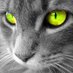 Joaquín Márquez (@jmarquezgau) Twitter profile photo