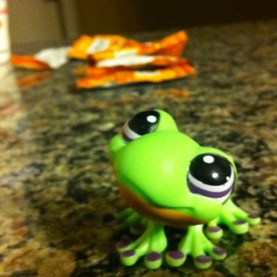 HiddnMammoth's profile picture. 