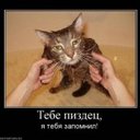 Christopher Lorenz - @1tImBENBn2fIOau - Twitter