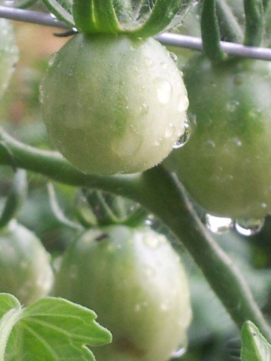 JAXEGD's profile picture. 