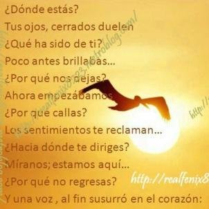 Love to learn & value sincerity(Me gusta aprender & valoro la sinceridad)Pro-life & Human-being admirer(Pro-vida & Admiro al ser humano)