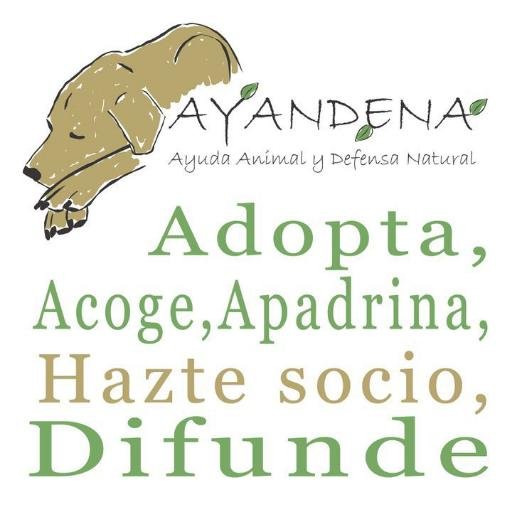 AYANDENA es una asociación protectora sin ánimo de lucro cuyo principal objetivo es conseguir el sacrificio CERO en el Zoosanitario de Sevilla.