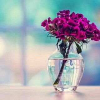 ‏سبحااان الله وبحمده