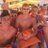 connorholliday's profile image