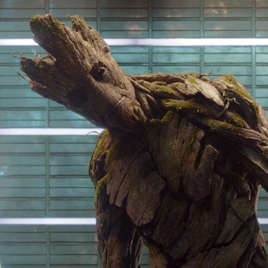 Fabulous_Groot Profile Picture