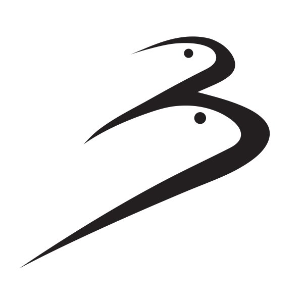 Bruiser Baits focuses on bringing you high quality soft plastic baits with outstanding colors.