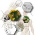 Functional Anatomy and Evolution, Johns Hopkins (@hopkinsanatomy) Twitter profile photo Functional Anatomy and Evolution, Johns Hopkins (@hopkinsanatomy) Twitter profile photo