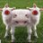 deepeew_doug's profile image