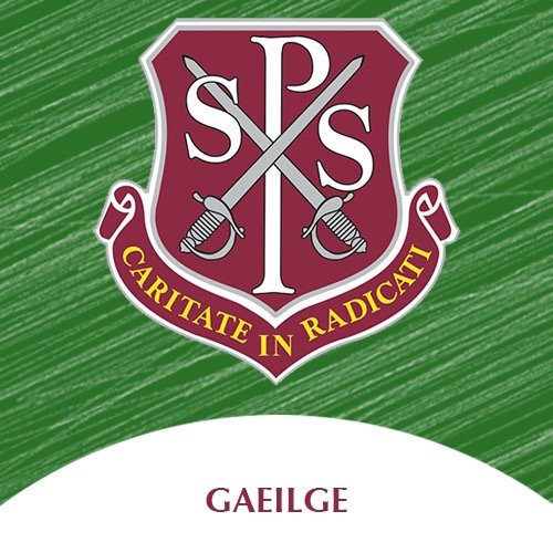 Roinn na Gaeilge in Ardscoil Naomh Pól, An Sruthán. Buaiteoirí GLEO 2010. Welcome to the Irish Department @stpaulsbbrook.