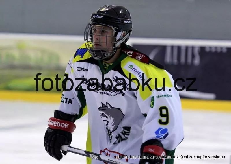 Ice hockey player in MsHKM Žilina