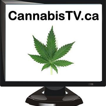 Watch MJ Video TV for the best and latest videos about Marijuana, Cannabis and Hemp. We tweet the latest videos which are popular and trending.  CannabisTV.ca