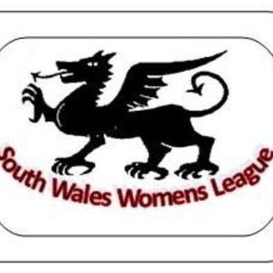 South Wales League Profile