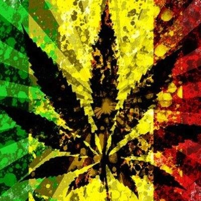 Follow for daily pictures of that loud*parody account*