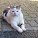 Ingrid Ritter - @IukRitter - Twitter