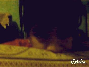 Pos Hola :3 xd