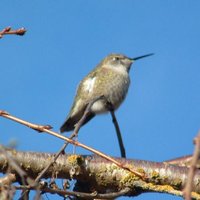 Wattsa Matta ? (@wattsa_matta) 's Twitter Profile