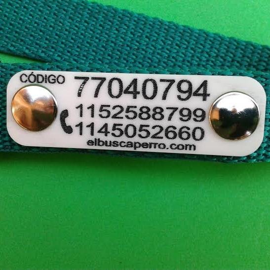 elbuscaperro's profile picture. 