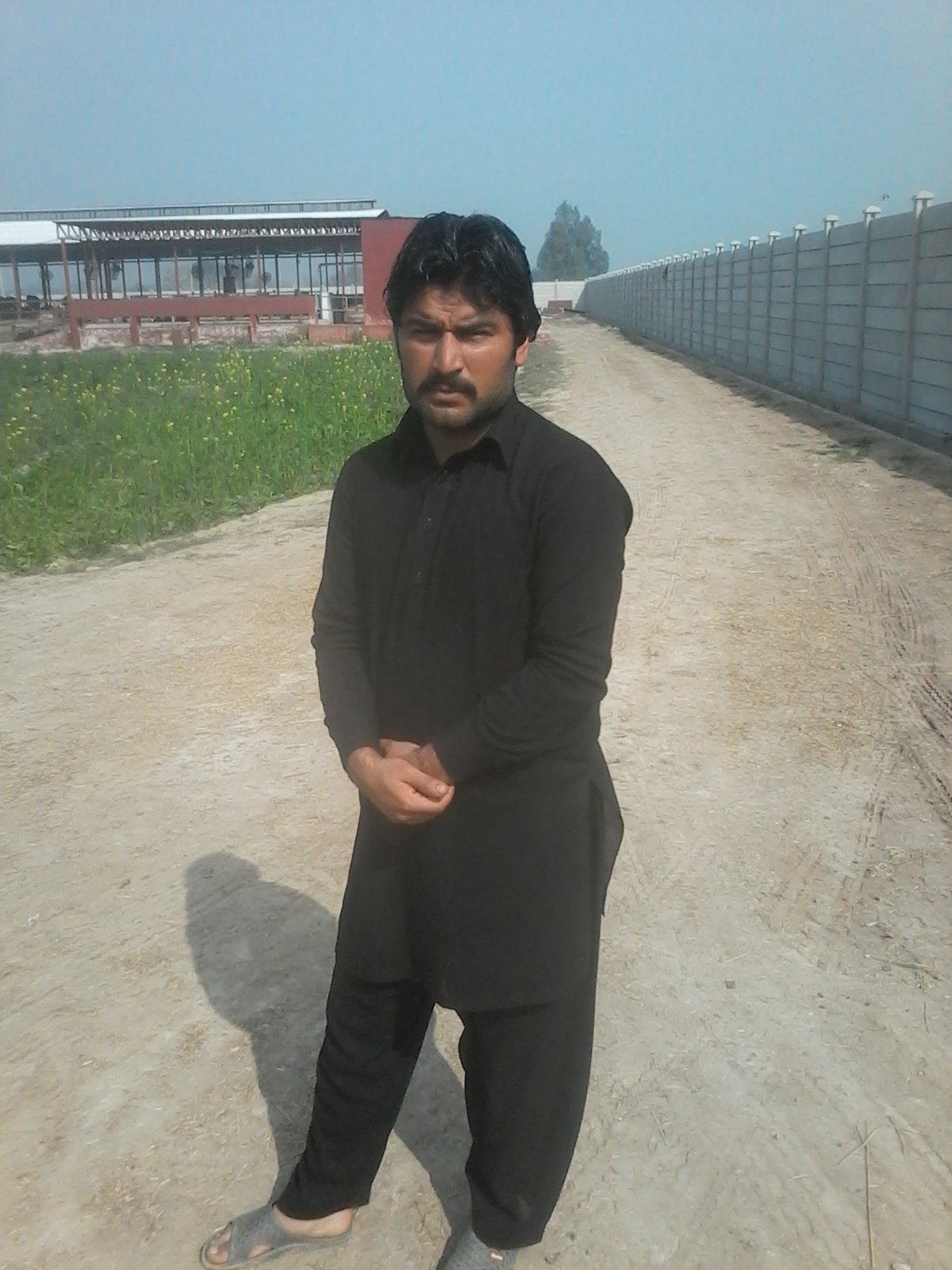 GM0345's profile picture. 