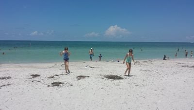 laurenedonnell's profile picture. wife, mother, reader, arguer, comforter, cook, confidant, talker