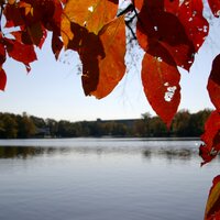 Lake Barcroft (@lakebarcroft) 's Twitter Profile