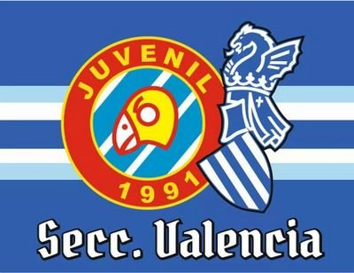 Sección de la Juvenil 1991 en Valencia. Amamos al #RCDE, animamos sin parar. Un grito: A POR TODAS ESPANYOL !