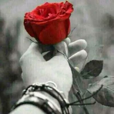 كل ابتسامه مهاجره جات رجعت لشفتي..
وكل الدروب الضايعه مني تنادي خطوتي.
ويارحلة الغربه وداعا رحلتي
ويافرحتي
الحظ الليله كريم .. محبوبتي معزومه من ضمن المعازيم