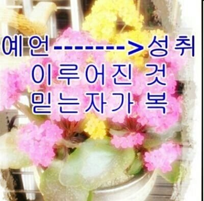 성령이 믿음을 주어야 우리가 가진 말씀이 소용이 있게 된다.