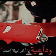 ‏ليت الفرح في دنيتك دايم الدوم. وليت الحزن لاغاب- طول غيابه. mm_12338237296 @   توام روحي فديتك