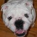Lori Stiles (@stilescr1) Twitter profile photo