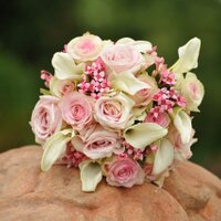 midinette (@midinetteblog) 's Twitter Profile