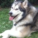 Matthew Cormier - @mattpc30 - Twitter