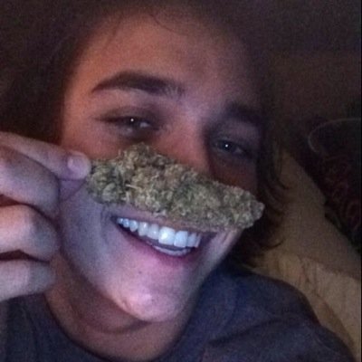 TrapicalGods's profile picture. 