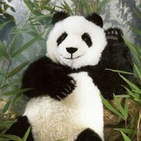 Ryuta Ito (@ryuta777) Twitter profile photo