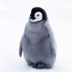 InspireQlfrxajg Profile Picture