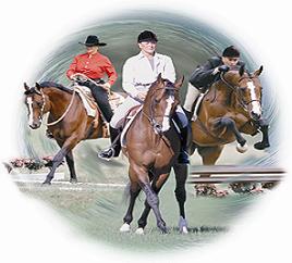 LynnSPalm's profile picture. 